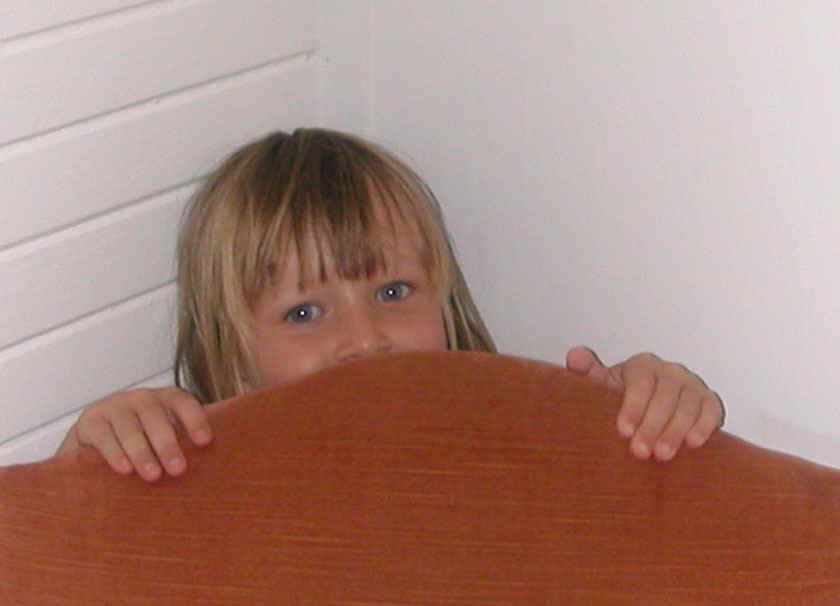 DSCN8147.jpg (105075 bytes)