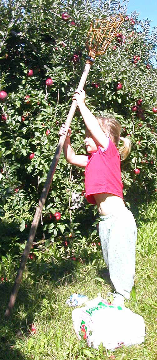 DSCN5970.jpg (191225 bytes)