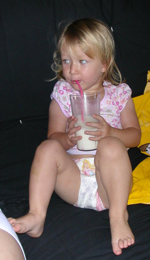 DSCN55841x1.jpg (116555 bytes)