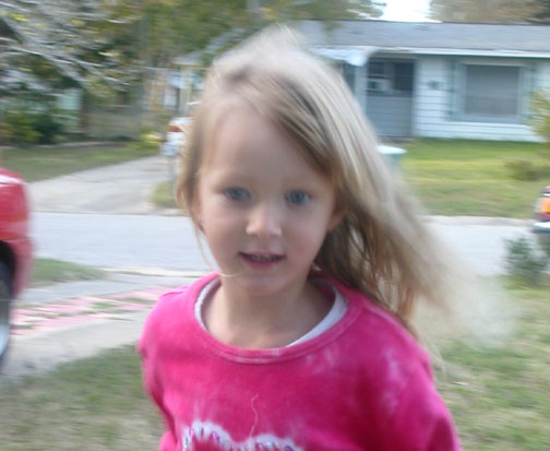 DSCN7228.jpg (78191 bytes)